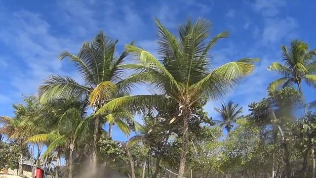 Кайт яхтинг на Карибах. Salt Whistle Bay, Mayreau смотреть онлайн