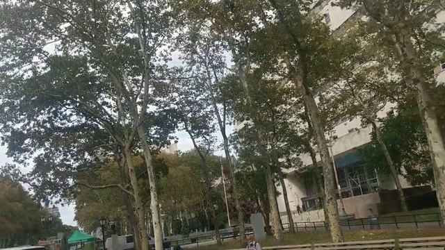 ПРОГУЛКА ПО НЬЮ-ЙОРКУ (БРУКЛИН-БОРО ХОЛЛ) И ЕЩЁ РАЗ О ГОСПОДИНЕ ПОЛОНИИ И ЕГО 4-Х ЖЁНАХ! США смотреть онлайн