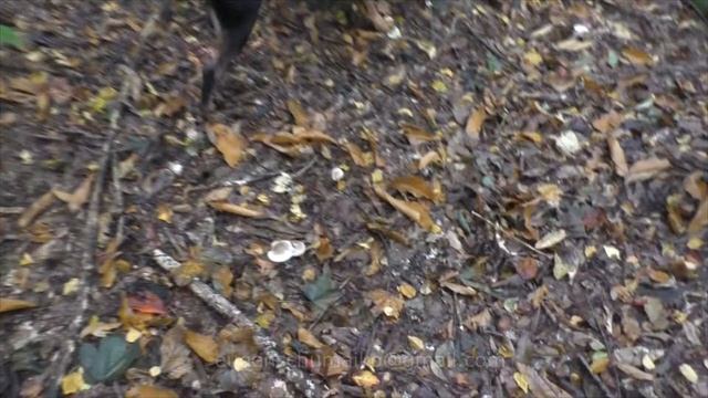 Как собирать говорушки. Легко и просто. смотреть онлайн