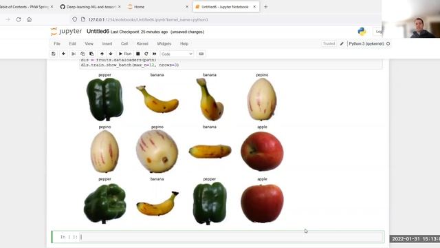 Transfer Learning - fastai dataloader and your own image data смотреть онлайн