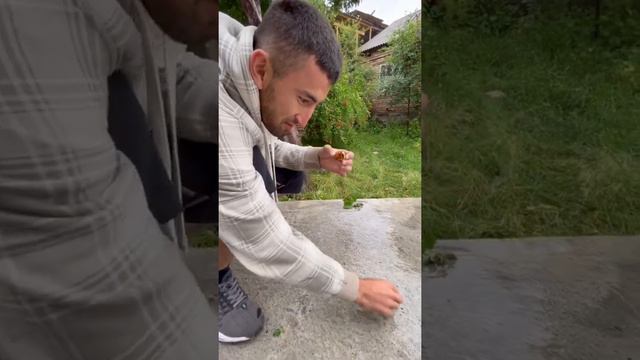 Детектив олма огрисини топти😱😅 смотреть онлайн