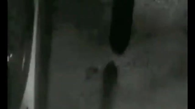 Vertov Clip