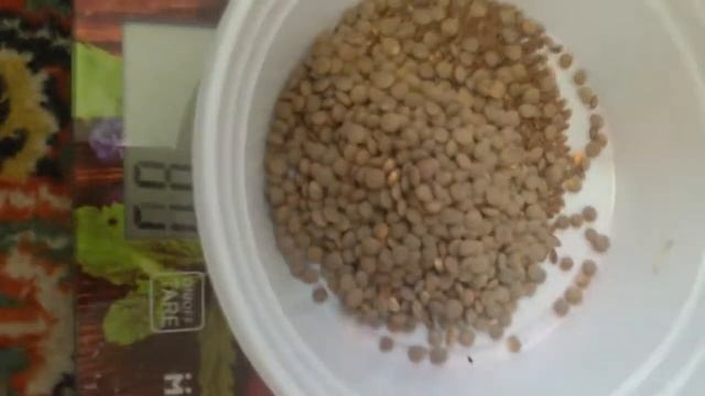 Мешанина для сирийского хомяка?