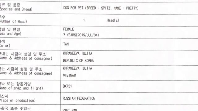 Как перевезти домашних животных за границу. Новое кафе-мороженое Rainbow в Нячанге 2022. Вьетнам. смотреть онлайн