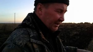 Фацелия под зиму.