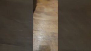 домашний телефон радио модели kx-tg8125rus