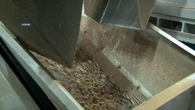 Интервью: Алексей Панов, министр лесного хозяйства Красноярского края смотреть онлайн