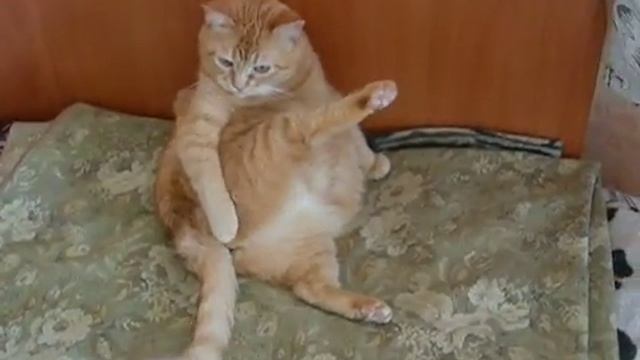 Сусанна моет попку. Часть 3. смотреть онлайн