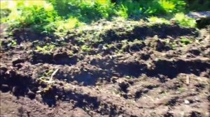 Ровняю участок мотоблоком.