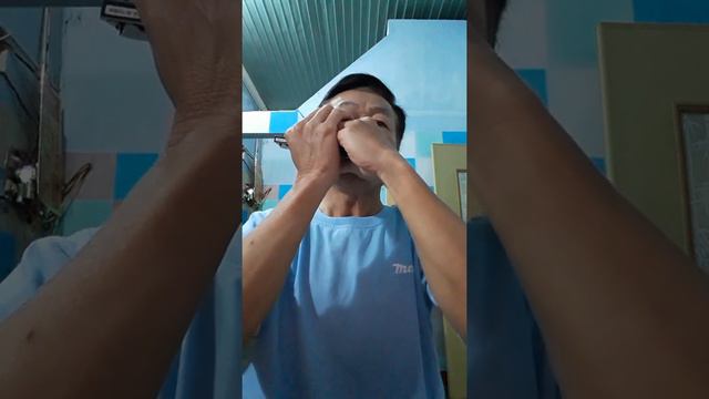 HT harmonica la paloma смотреть онлайн