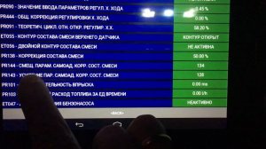 Программная адаптация дроссельной заслонки и топливных корекций Рено Лагуна/Меган/Сценик