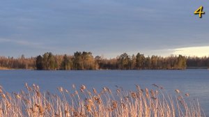 Вдоль тихих берегов Вуоксы / Май 2024г. / Серия 4 / Заливы Артельный и Каменистый