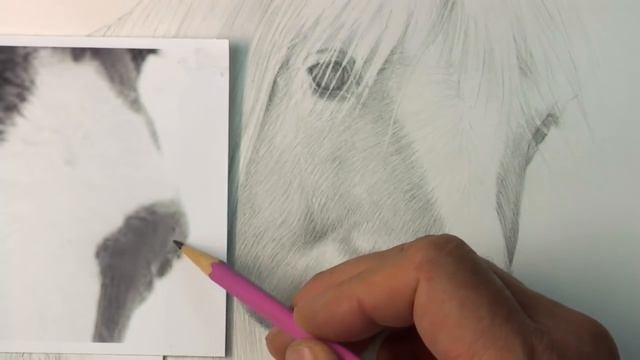 Drawing a Horse: How to Draw an Eye That You Can't See... смотреть онлайн