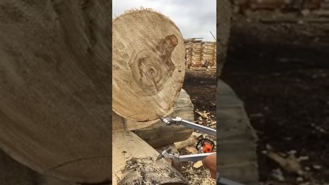 Logscribing. Logscriber IZBA | Плотницкая черта ИЗБА