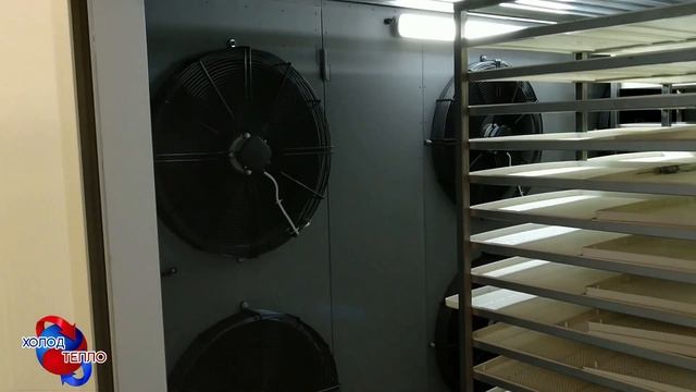 Камера сушки/вяления рыбы и рыбных снеков. Встречный продув. Убираем застойные зоны. смотреть онлайн