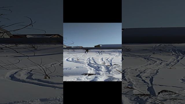охотничьи лыжи ШАТУН