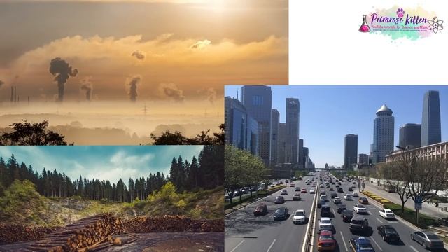 The Whole Of AQA GCSE Chemistry Paper 2 | 13th June 2023