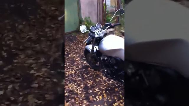 Осмотр Honda CB400 SuperFour VTEC смотреть онлайн