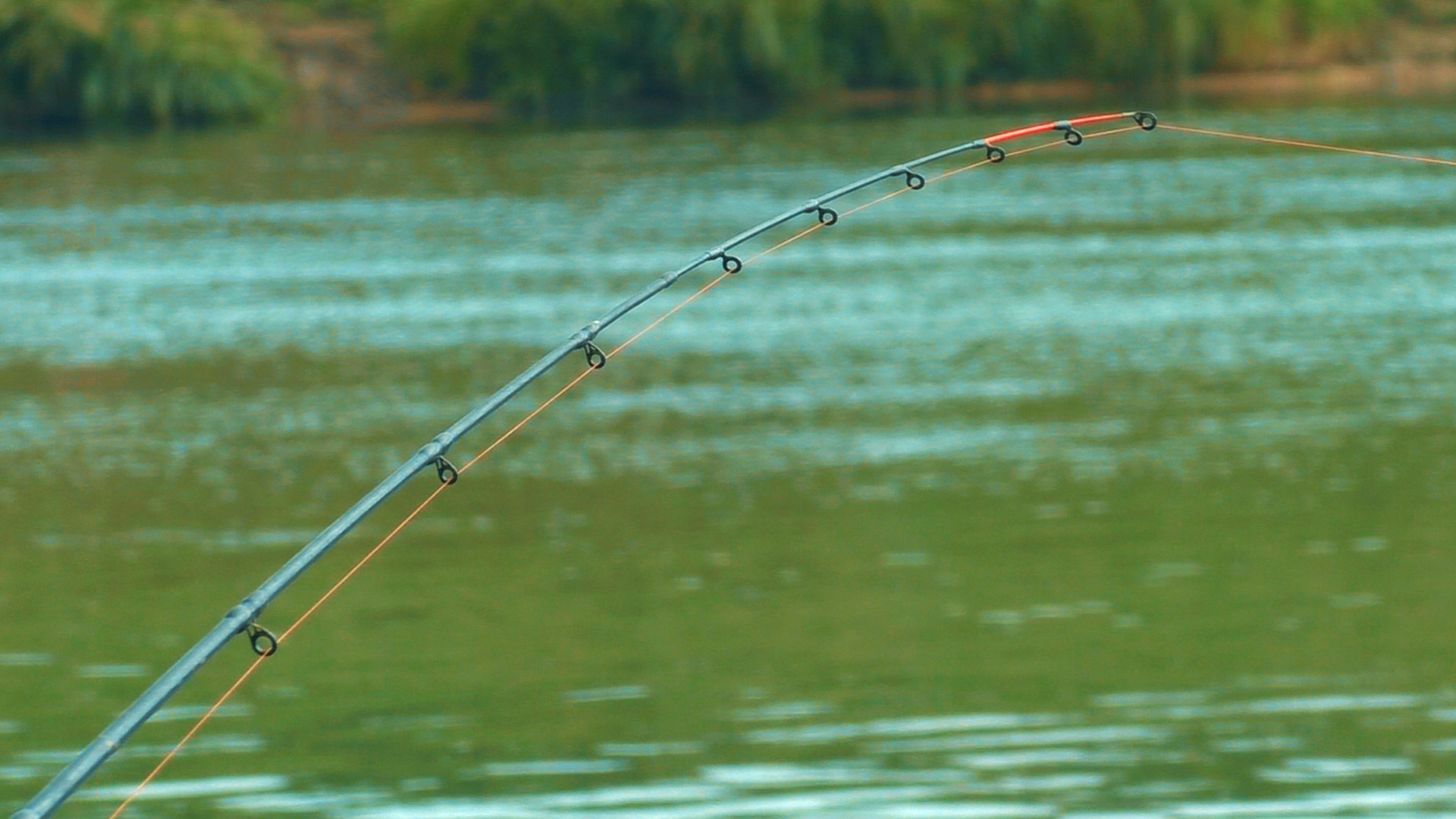 ЛЕЩ и КРУПНЫЙ КАРАСЬ на СИЛЬНОМ течении! Рыбалка на фидер на реке Дон! смотреть онлайн