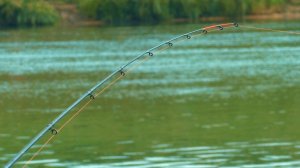 ЛЕЩ и КРУПНЫЙ КАРАСЬ на СИЛЬНОМ течении! Рыбалка на фидер на реке Дон!