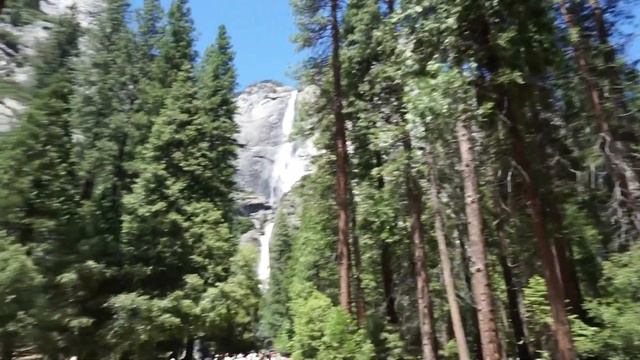 AMERICA VLOG part 3 | Американская ферма | Самый лучший парк в МИРЕ смотреть онлайн