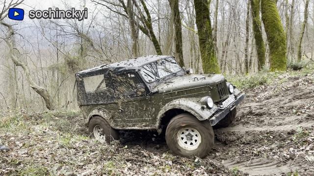 Газ 69 в лесу после дождя