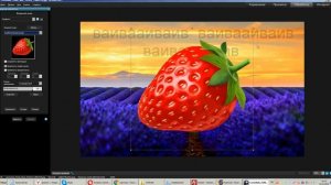 Наложение водяного знака в ACDSee (текст/картинка)