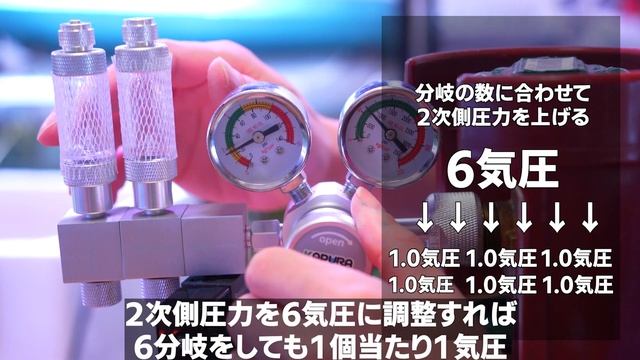 世界最新レギュレーターを徹底解説 アクアリウム 初心者 ミドボン 海外製品レビュー смотреть онлайн