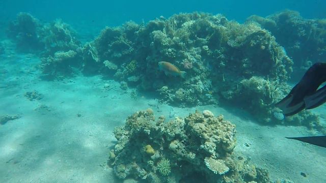 Красное море смотреть онлайн