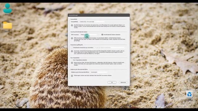 Quick Tipp I Adobe DNG Converter I Schritt für Schritt erklärt смотреть онлайн