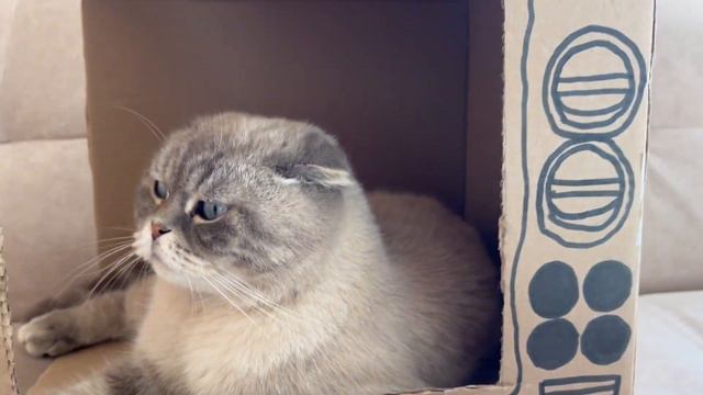 А Кевин в телевизоре смотреть онлайн