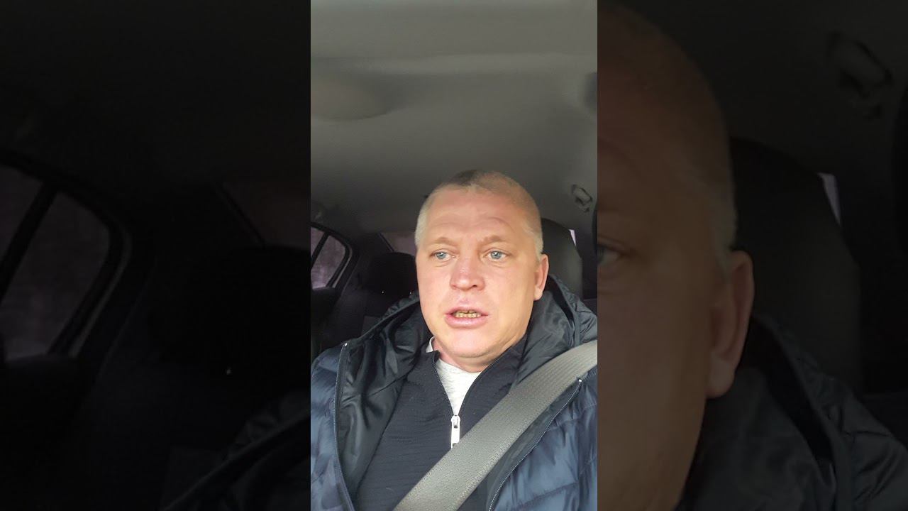 #shorts Помчался за страусиным яйцом смотреть онлайн