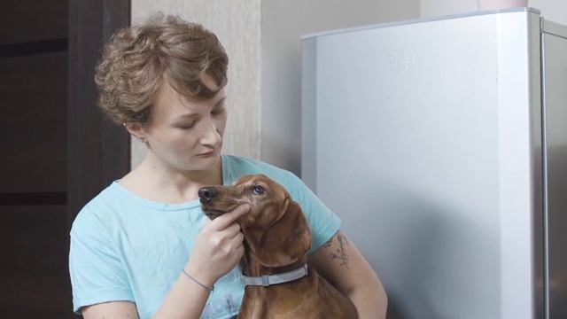Как отучить собаку попрошайничать со стола? смотреть онлайн