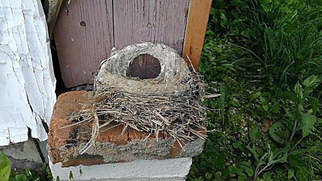 Dacha 4 смотреть онлайн