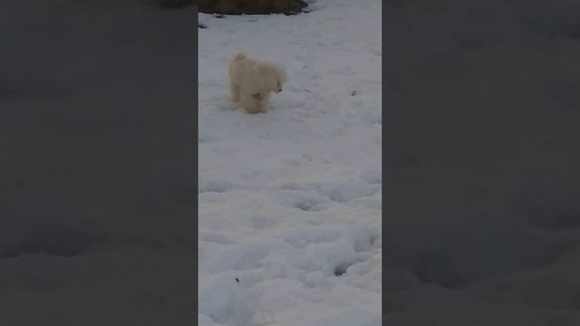 Найди то , не знаю- что. смотреть онлайн