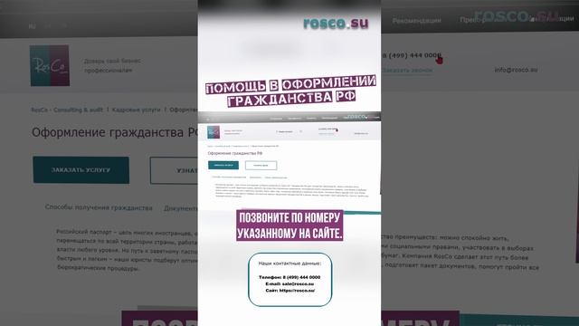 Помощь в оформлении гражданства РФ