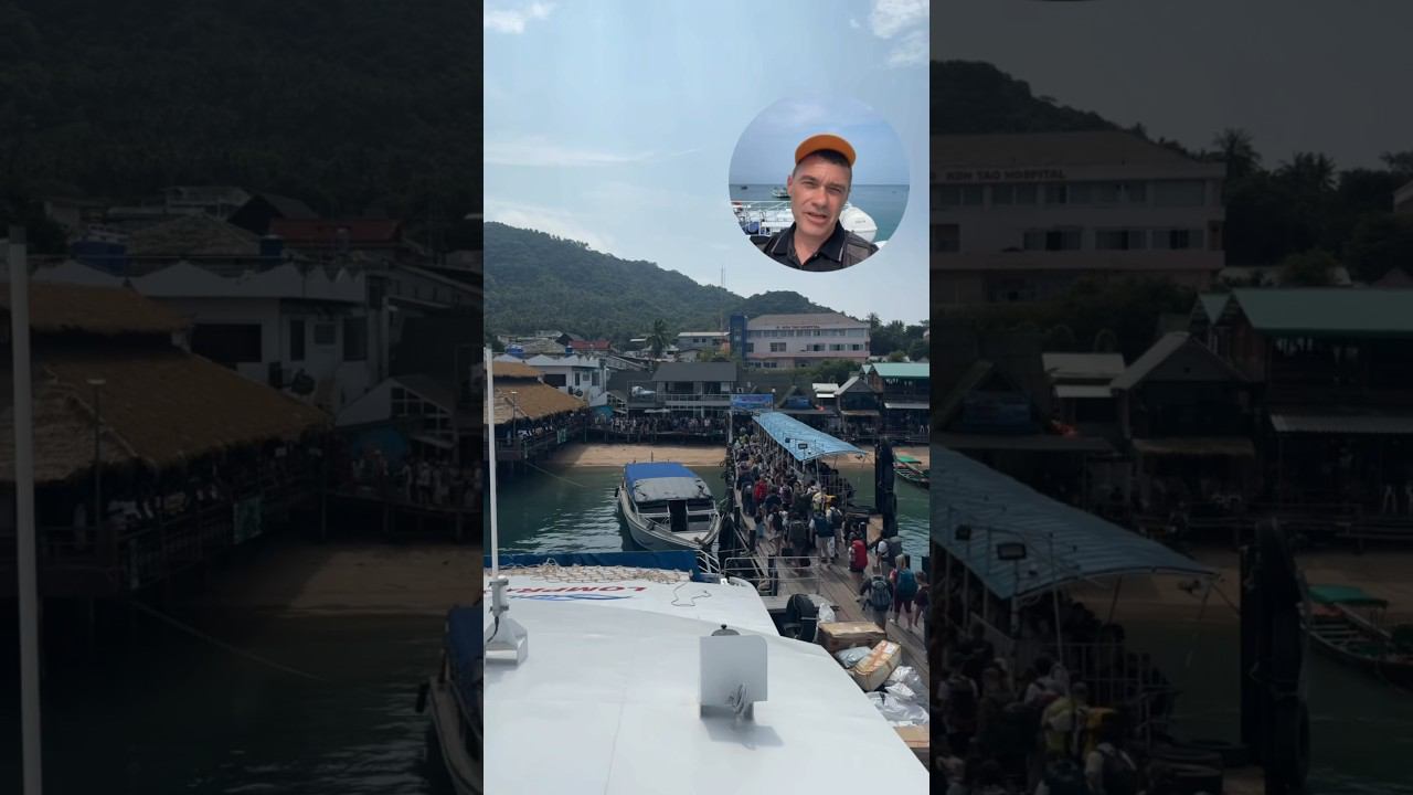 Остров Черепах - авторский тур из Паттайи . Подробности в комментариях #паттайя2024 смотреть онлайн