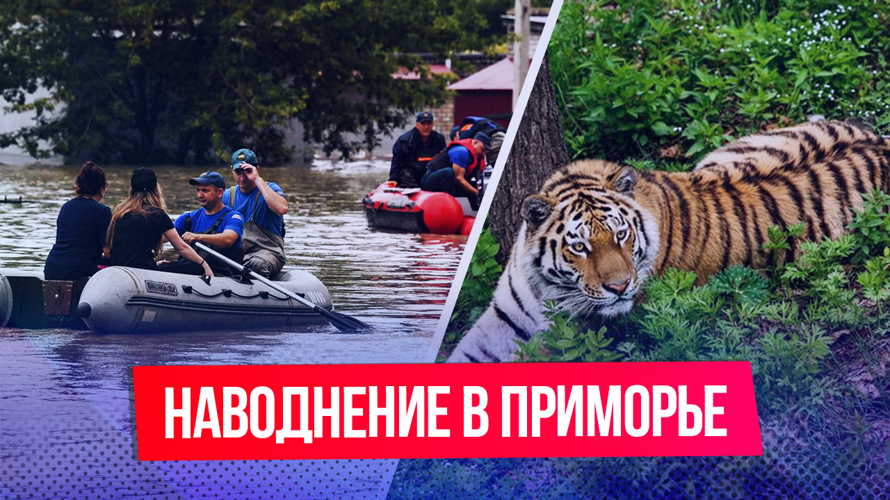 Приморье накрыло сильное наводнение