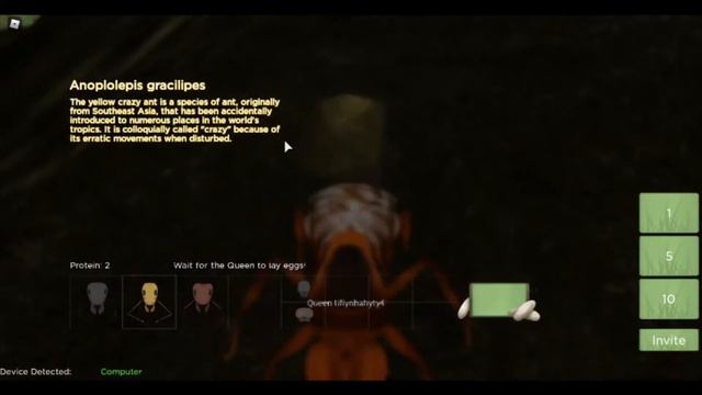 How To Get Queen in Ant Life Beta Easily!- Ant Life Beta смотреть онлайн