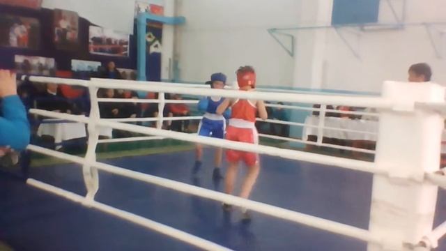 Бокс это силя смотреть онлайн