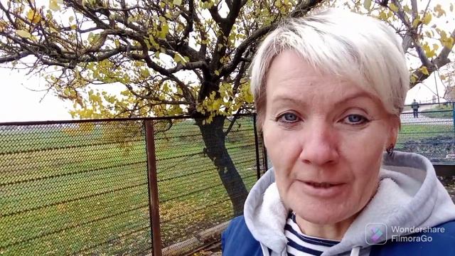 Рыба ищет где глубже, а человек где лучше. смотреть онлайн