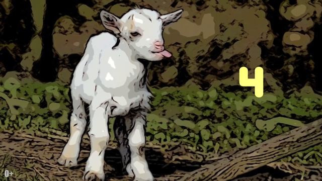 Топ 7 самых милых детенышей животных. Top 7 Cutest Baby Animals