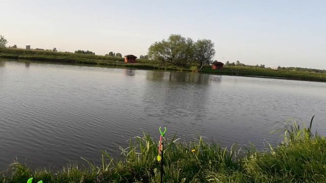 Мой любимый платник.Озеро Игумное. смотреть онлайн