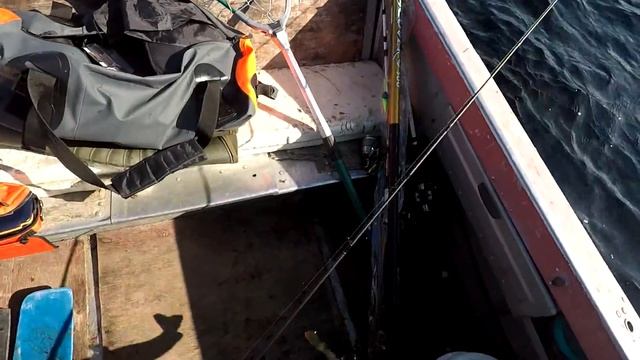 #Рыбалка#Озеро#Окунь#Хариус Сегозеро, рыбалка в августе. смотреть онлайн