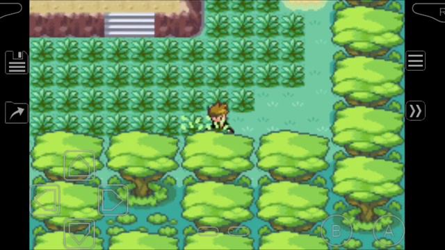 Pokémon Water Blue - 09- Conseguindo Magikarp Shiny Na Cidade De Fuchsia