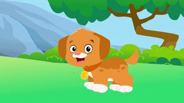 Bingo Song | Bingo Dog Song for Kids