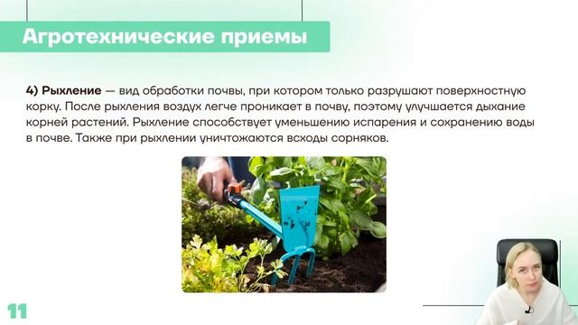 Вегетативное размножение растений, агротехнические приемы. смотреть онлайн