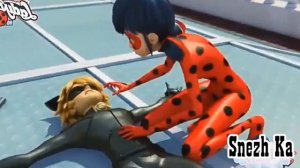 Lady Bug and Cat Noir // Flesh