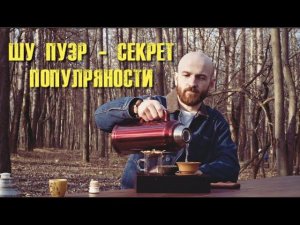 ШУ ПУЭР - СЕКРЕТ ПОПУЛЯРНОСТИ | ФЕНОМЕН ЧАЯ ШУ ПУЭР