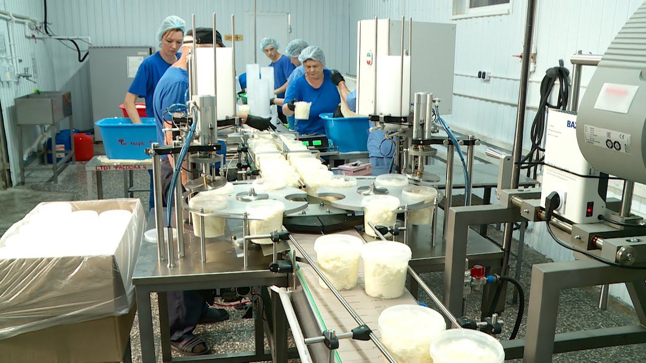 Ставропольские заводы молочной продукции автоматизируют производство